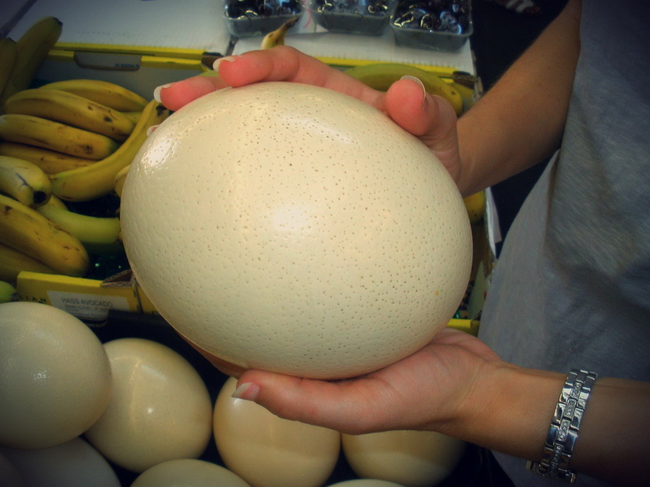 Гигантские яйца начнут продавать в Екатеринбурге в преддверии Пасхи