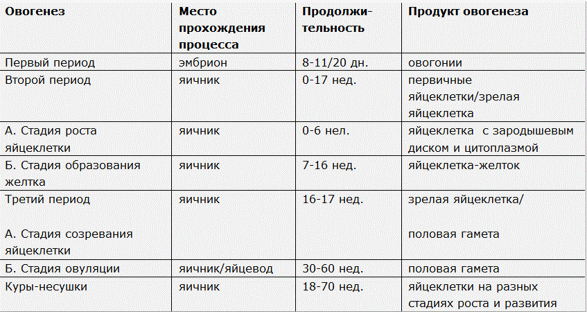 Образование биологически полноценных яиц и продуктивность кур яичных кроссов