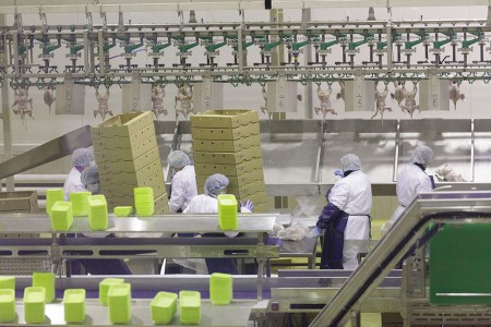 "Воловский бройлер" запустил производство мясоперерабатывающего комплекса