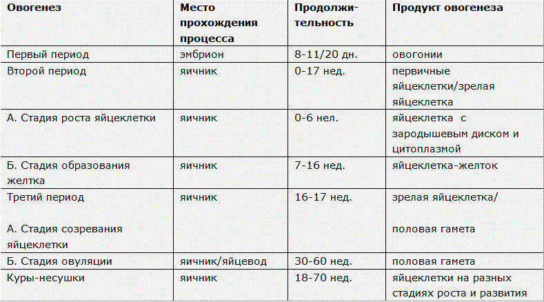 Образование биологически полноценных яиц и продуктивность кур яичных кроссов