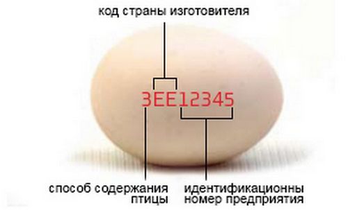 Что означают цифры на яйцах в Европе 