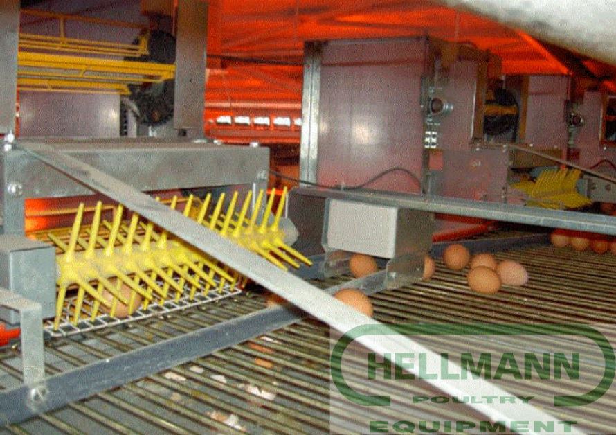 Оборудование сбора яиц Hellmann Poultry