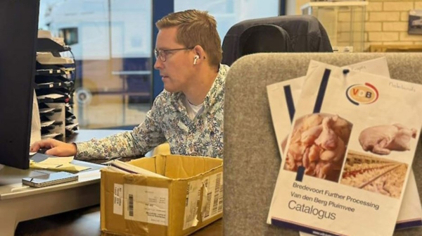 Нидерланды, продажа забойной курицы