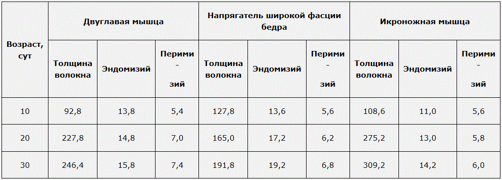 Морфологические исследования охлаждённых потрошёных тушек