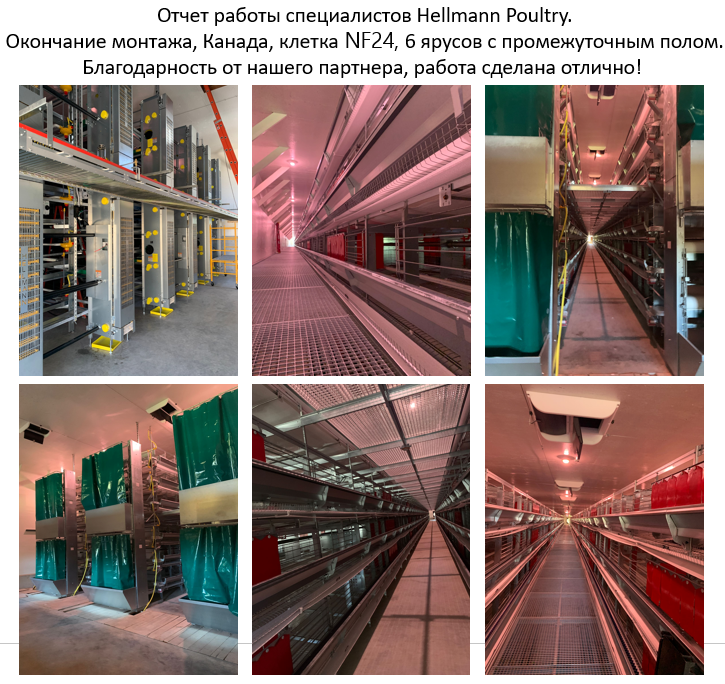 Монтаж клеточного оборудования Hellmann Poultry